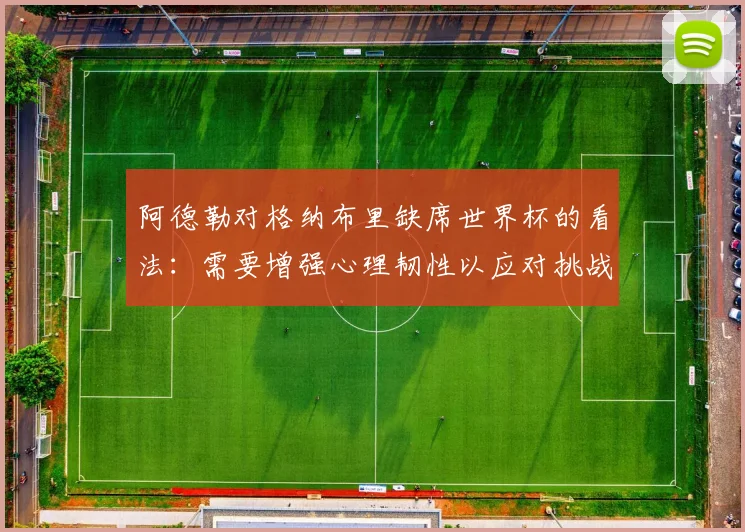 阿德勒对格纳布里缺席世界杯的看法：需要增强心理韧性以应对挑战