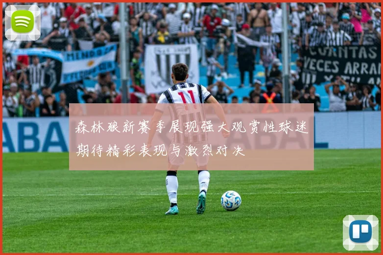 森林狼新赛季展现强大观赏性球迷期待精彩表现与激烈对决